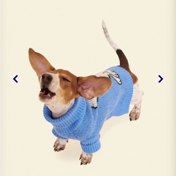 Little Beast Peanuts Snoopy Blue Dog Sweater - Picture 4 of 5